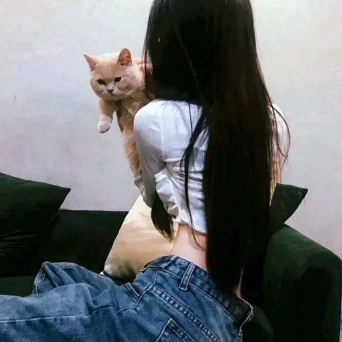 甜蜜十一月